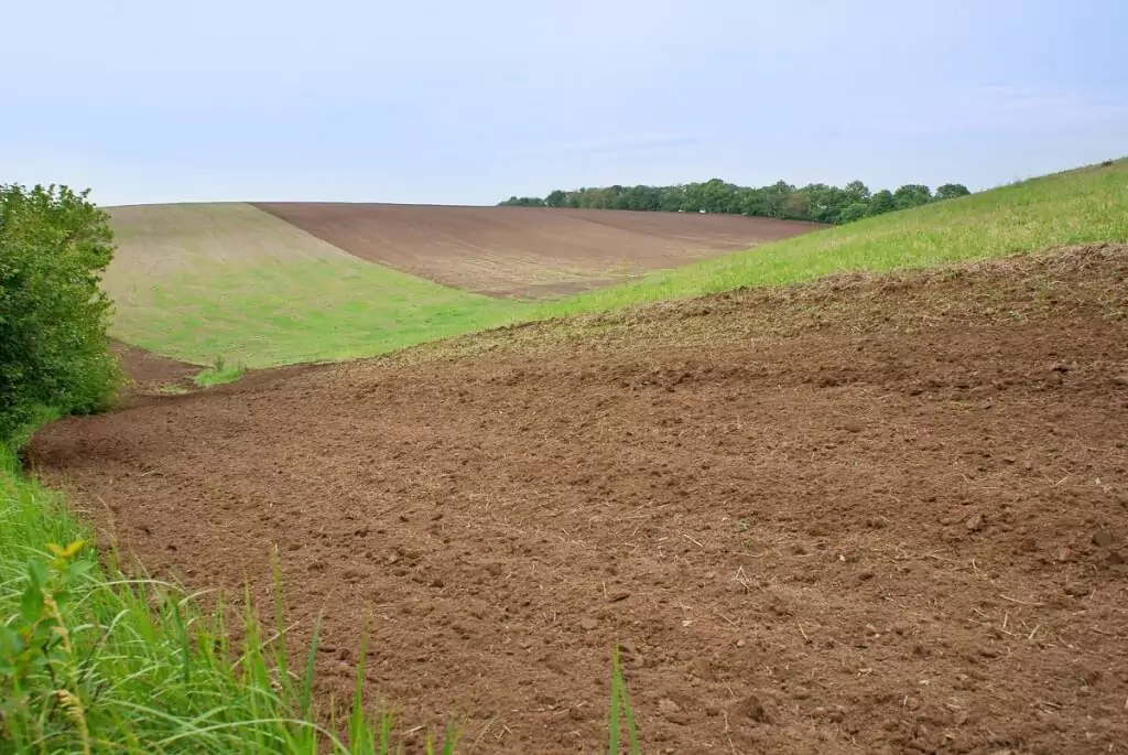 About Ushirika Gardens